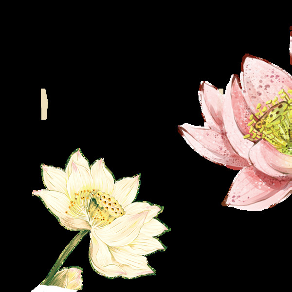 中国画彩绘花朵高清素材