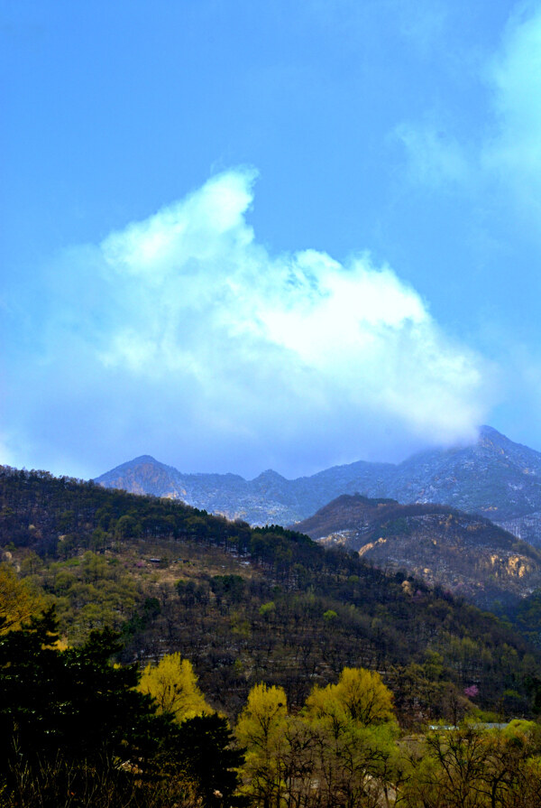 大山春色图片