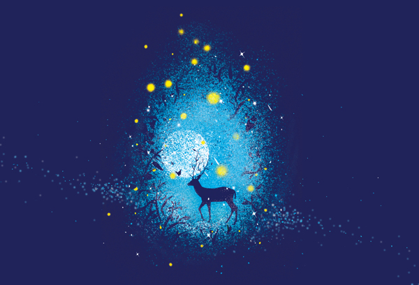 星空下的鹿