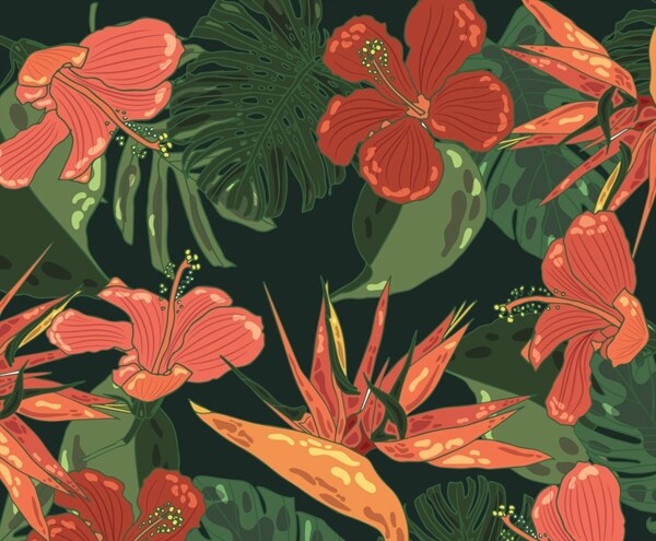 热带花卉无缝背景图片