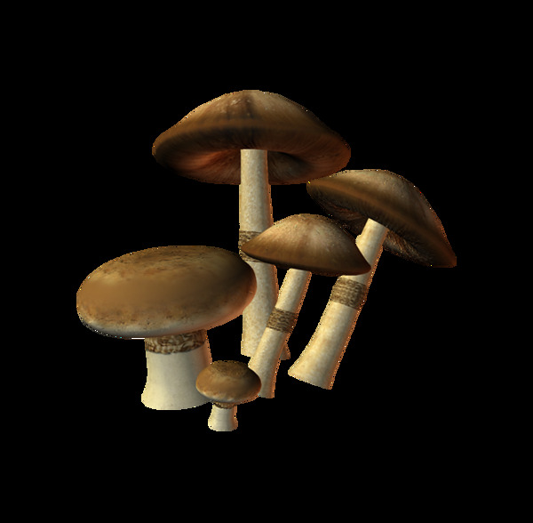 蘑菇png元素