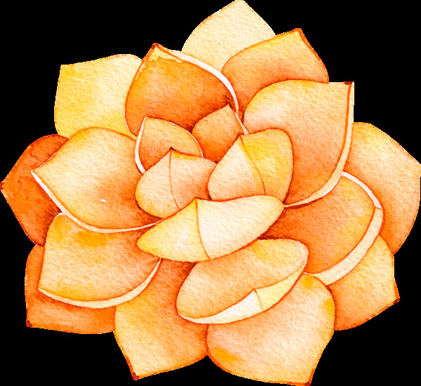 橙色花卉卡通透明素材
