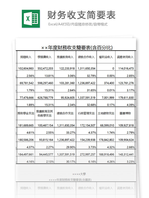 财务收支简要表