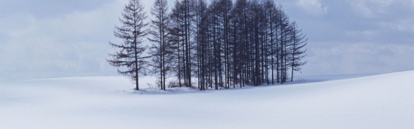 冬天雪景背景素材37