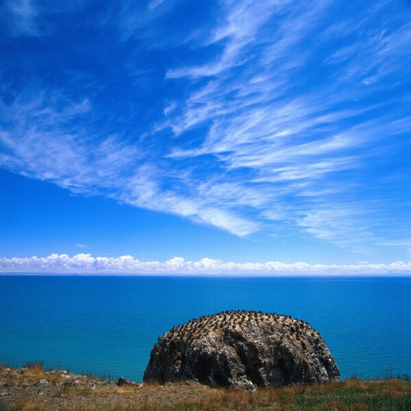 青海湖图片