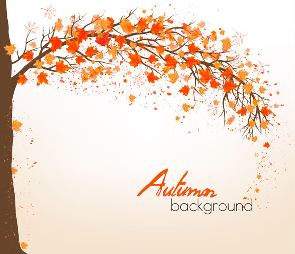 秋天枫树背景设计素材图片
