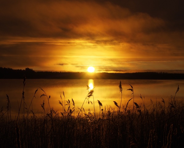 湖边草丛夕阳风光高清图片