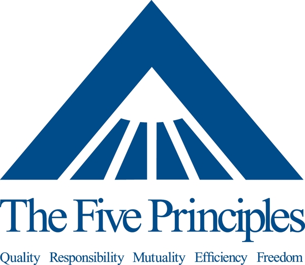 五项原则