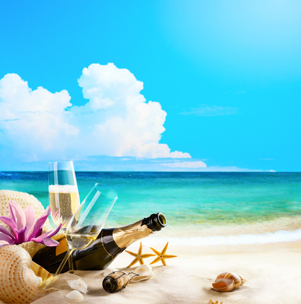 沙滩上的酒瓶和海星图片