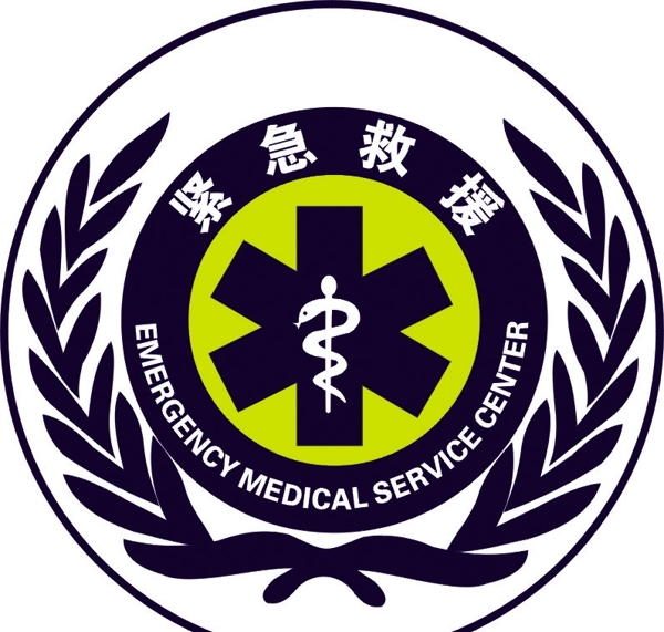 中国紧急救援标志图片