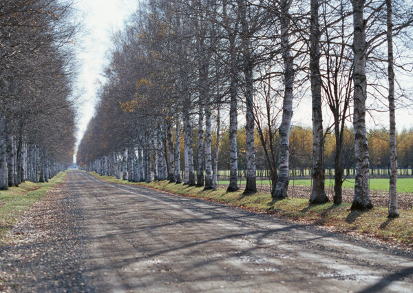 公路道路