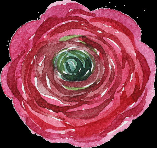红色芬芳花卉卡通水彩透明素材
