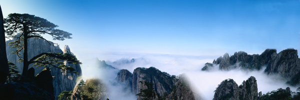 黄山迎客松宽幅美景图片