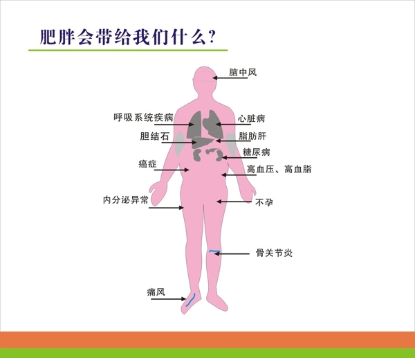 肥胖会带给我们什么图片