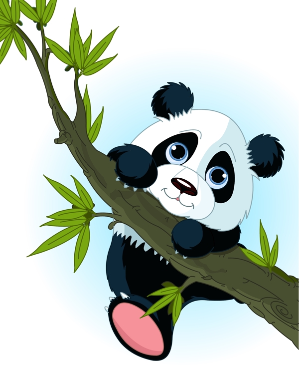 爬树枝的熊猫图片