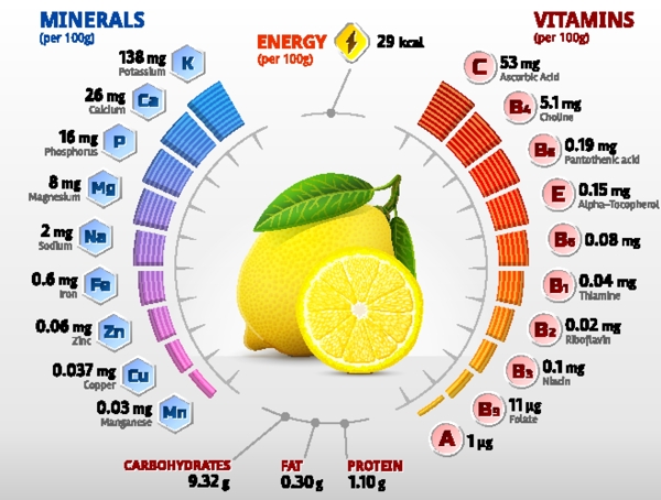 水果图表信息