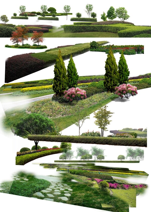 绿篱灌木丛素材图片