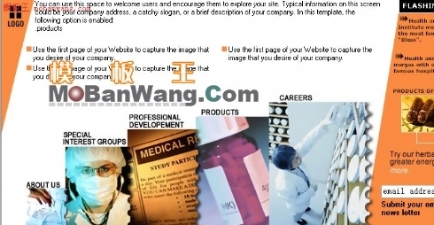 欧美医药销售网站模板