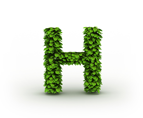 绿叶组成的字母H图片