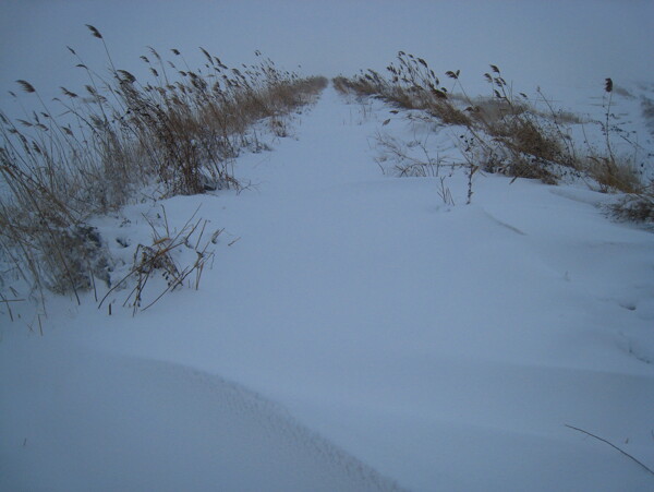 雪地图片