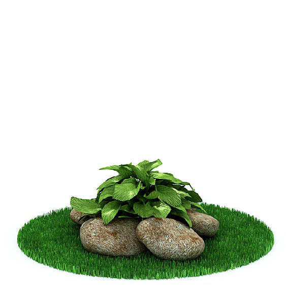 室外种植绿色植物3d模型