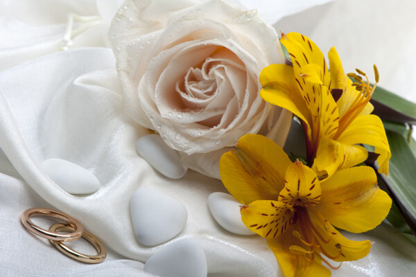 结婚戒指鲜花图片