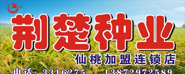 种植种业水稻门头农业