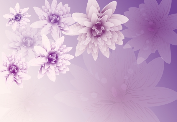 紫色梅花牡丹花壁纸背景墙墙纸