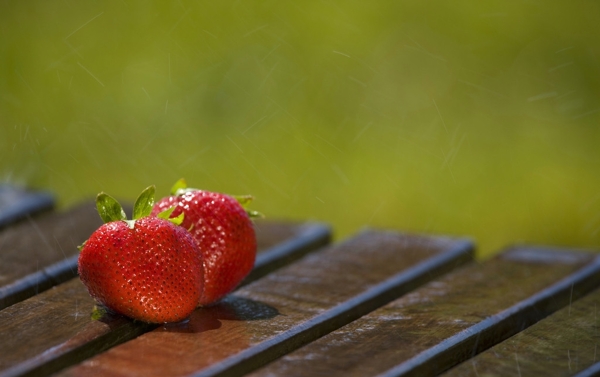 草莓水果微距摄影图片