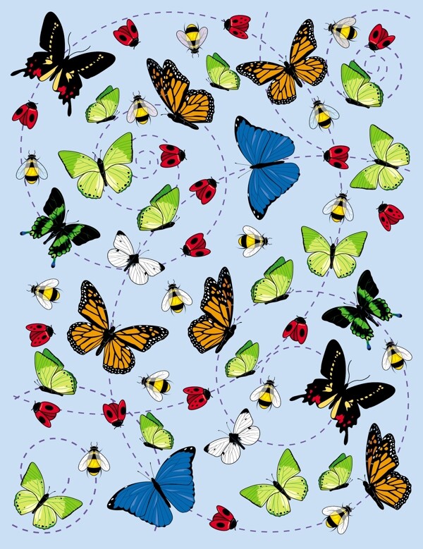 昆虫蝴蝶插画矢量素材