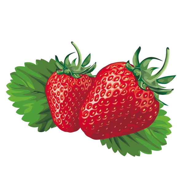新鲜的草莓矢量素材