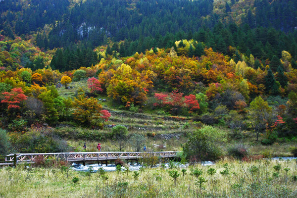 九寨沟秋色图片