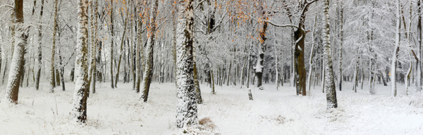 雪景图片