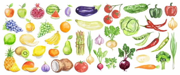 素描手绘水果食物矢量图