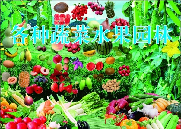 各种蔬菜水果园林图片