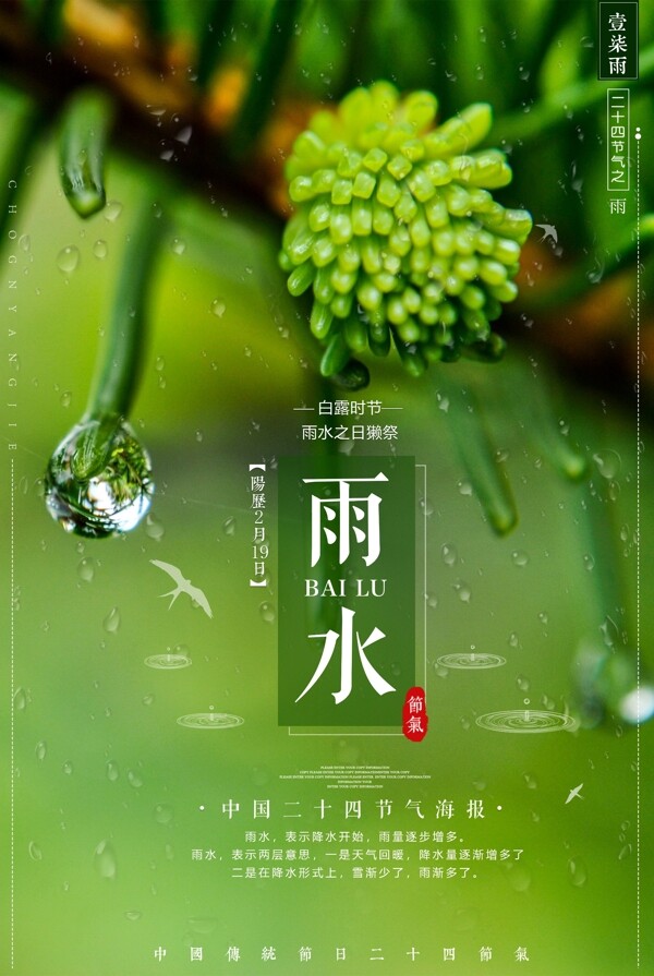 简约中国雨水海报