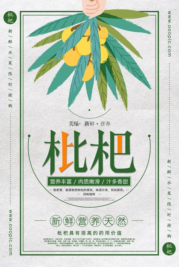 手绘背景枇杷水果店促销海报设计