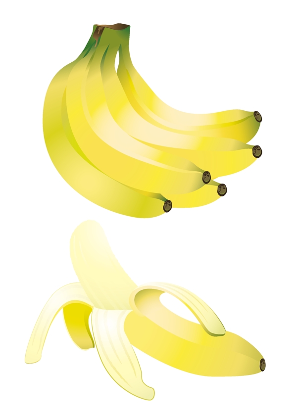 香蕉矢量插画