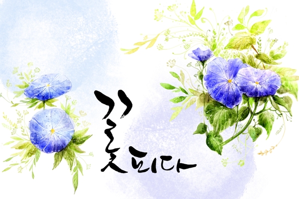 盛开的蓝色喇叭花