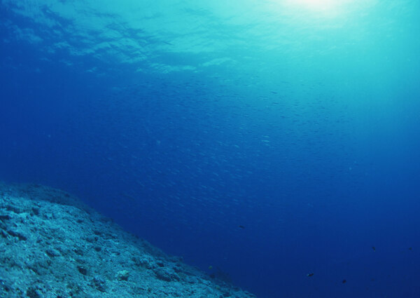 海底深海桌面背景图片