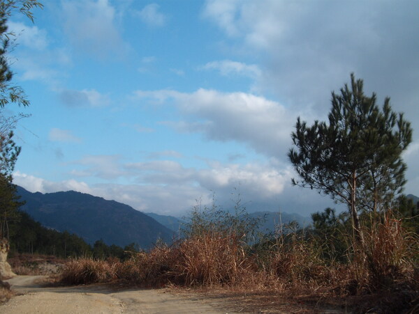 大别山风光