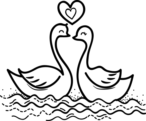 黑白手绘的爱情天鹅插画