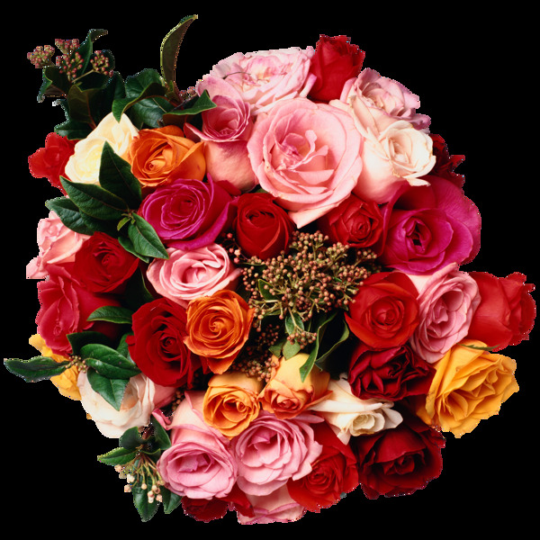 清新彩色玫瑰花花朵花束实物元素