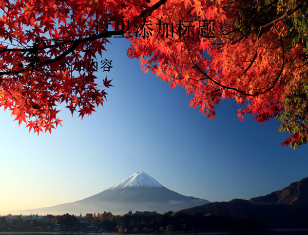 秋之韵日本