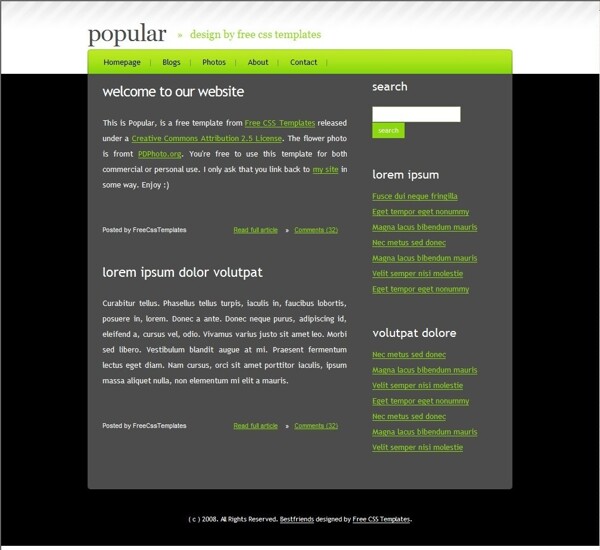 设计信息博客网页模板