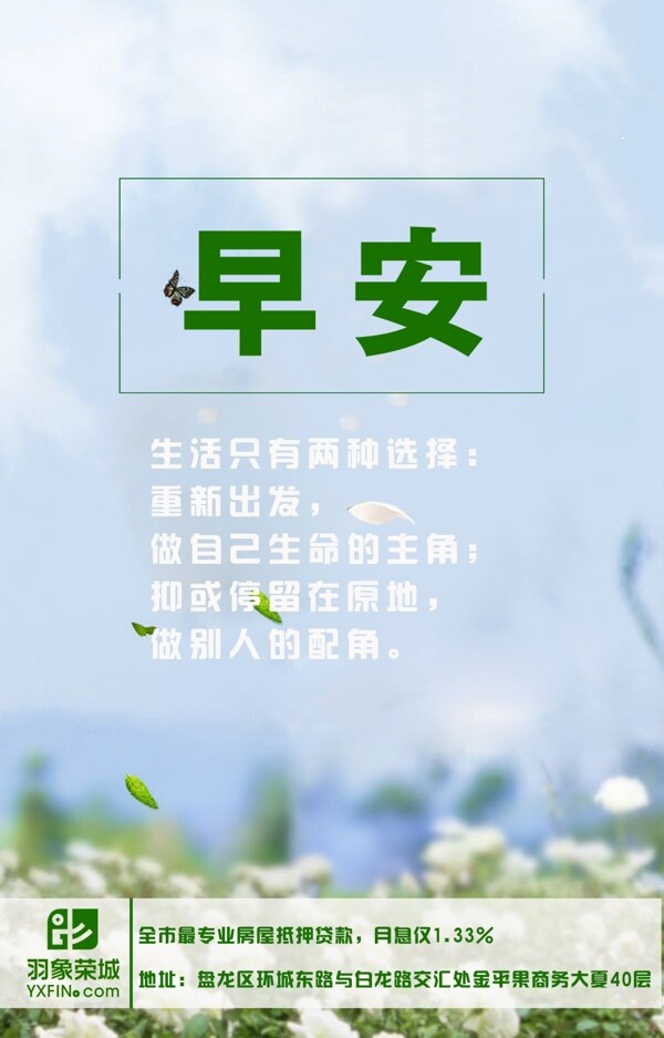 早安1清新唯美花创意金融