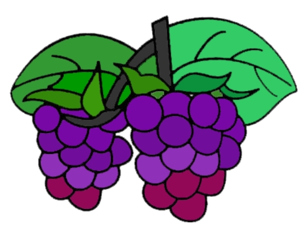 紫色葡萄绿叶素材