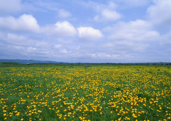 风景自然陆地旷野