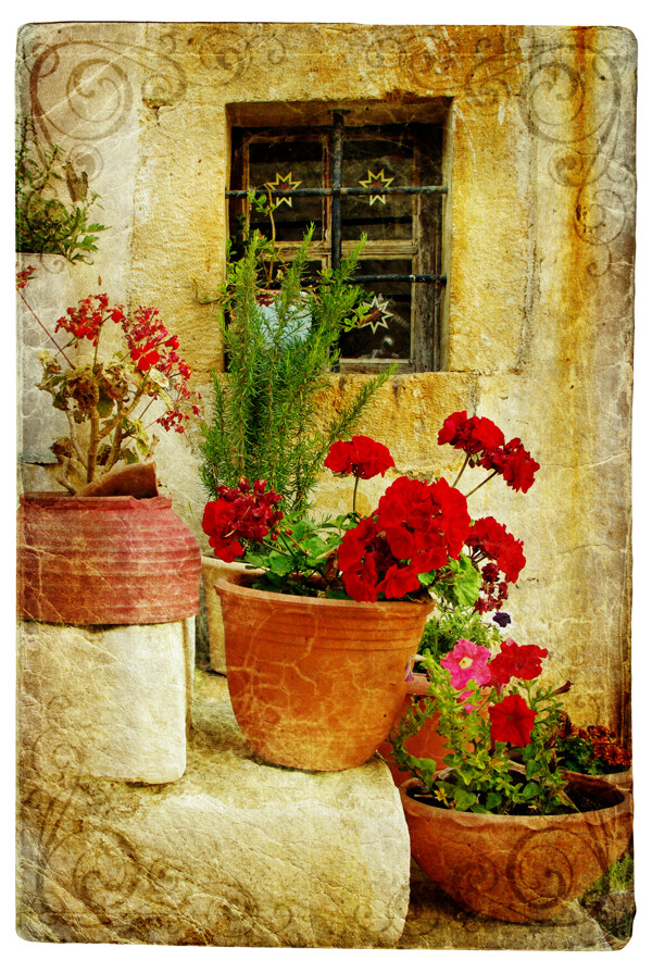 古老房屋门前的花盆图片