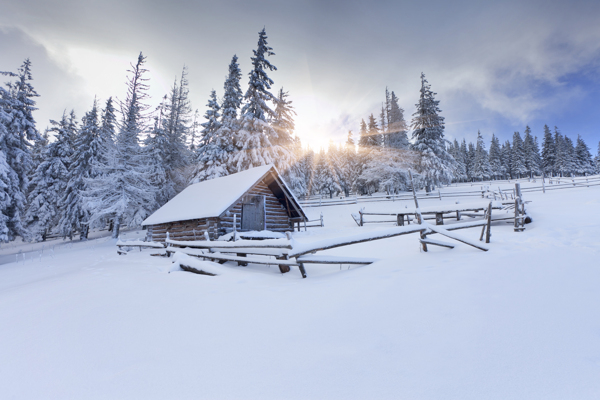 冬天房屋树木图片